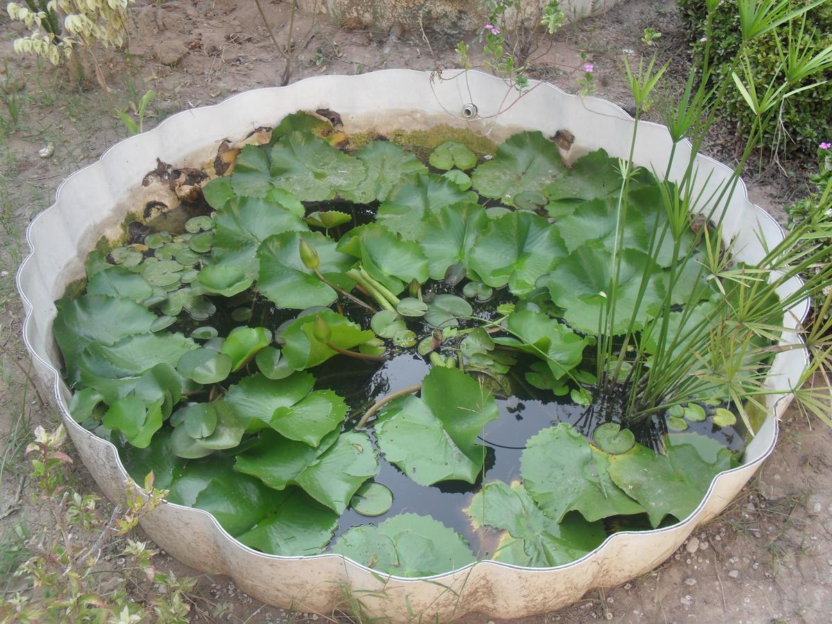 Garden Roomz Oman มัสกัต ภายนอก รูปภาพ