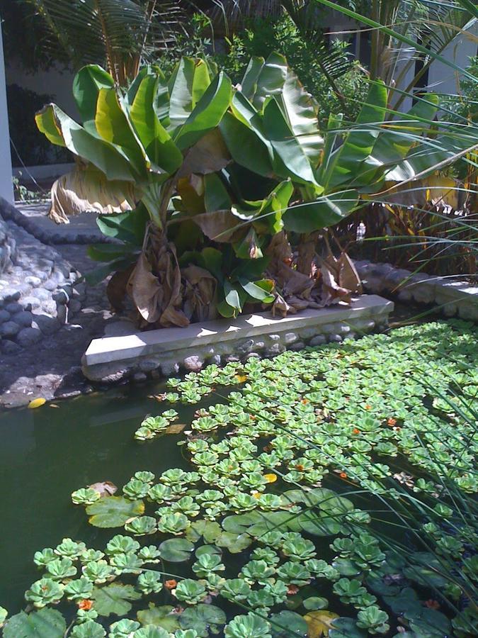 Garden Roomz Oman มัสกัต ภายนอก รูปภาพ