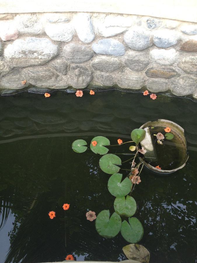 Garden Roomz Oman มัสกัต ภายนอก รูปภาพ