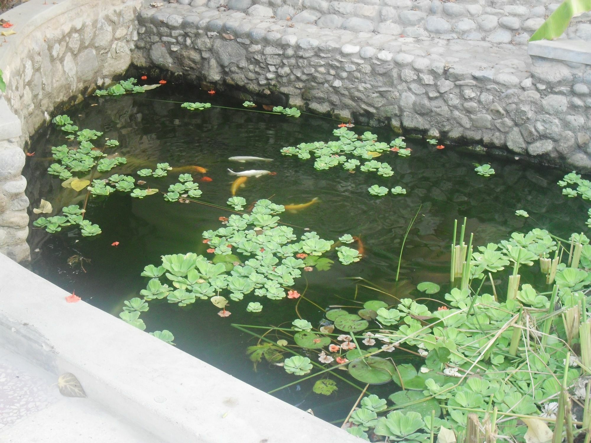 Garden Roomz Oman มัสกัต ภายนอก รูปภาพ